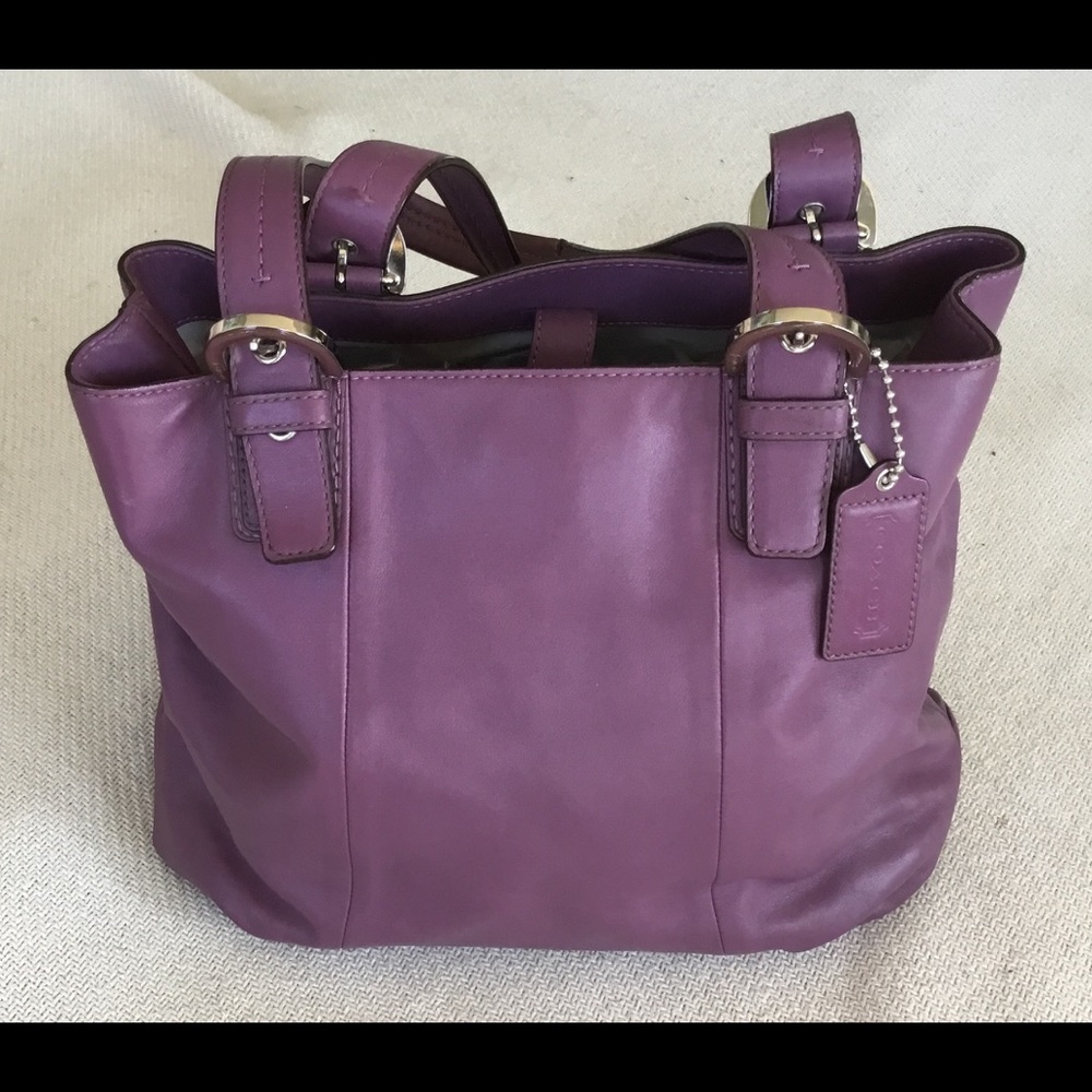 Coach North South Soho Leather Tote D1175-F17216